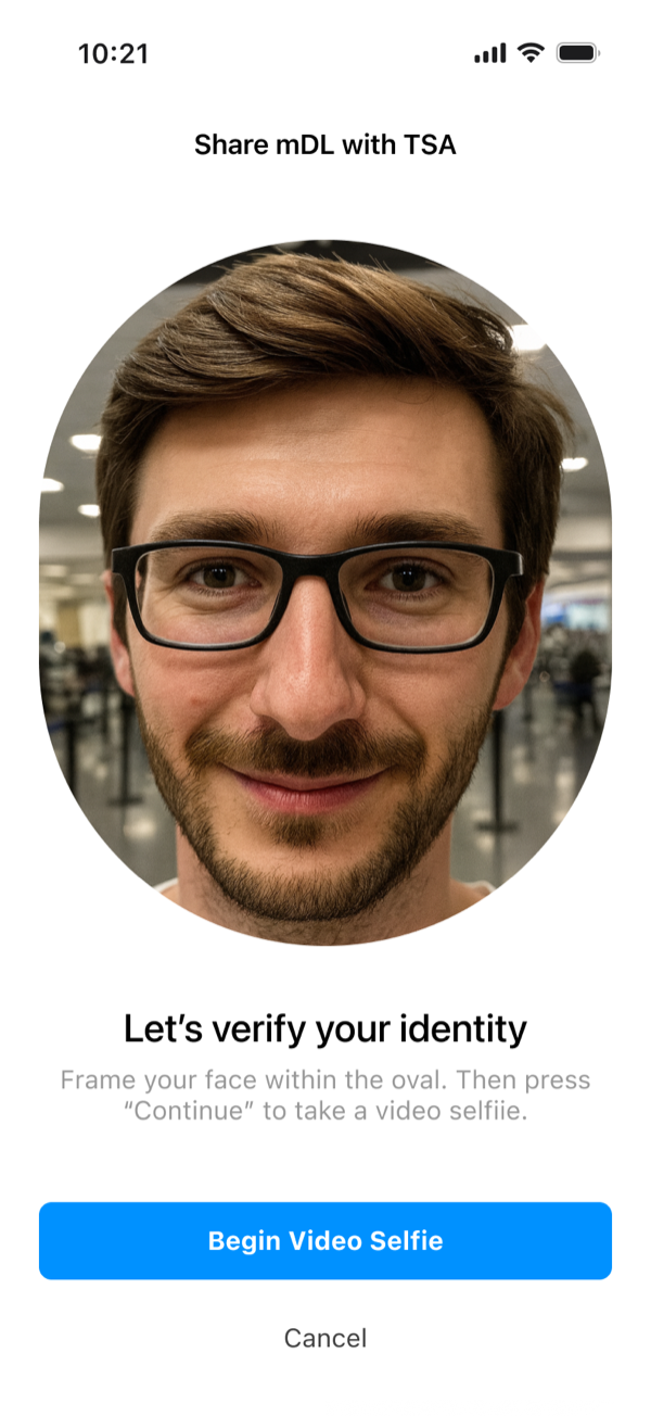 Let's verify your identity: a live camera view frames the traveler's face in an oval, with instructions to press Continue to take a video selfie